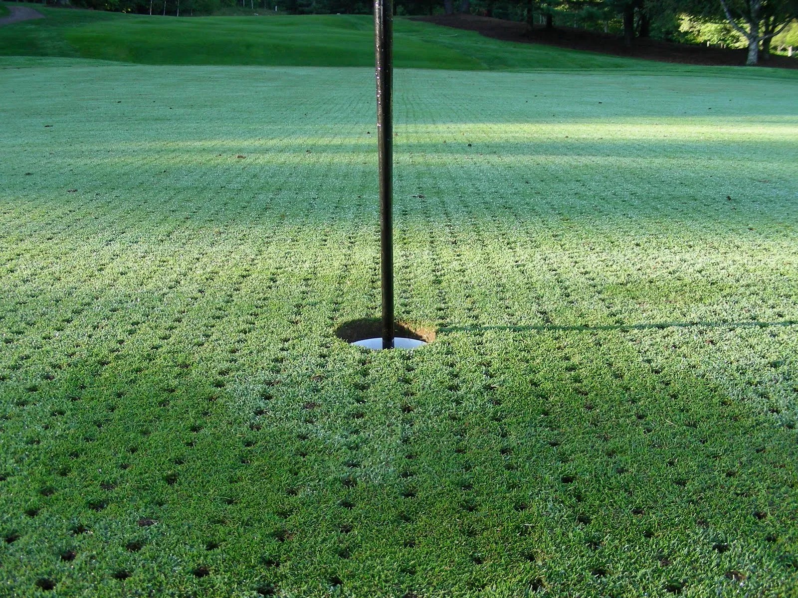 Hog Neck Golf Course Home Hog Neck Golf Course Home